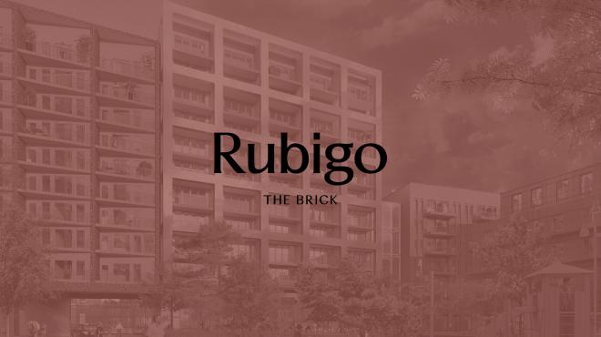 Rubigo - The Brick teaser Fantastic Frank