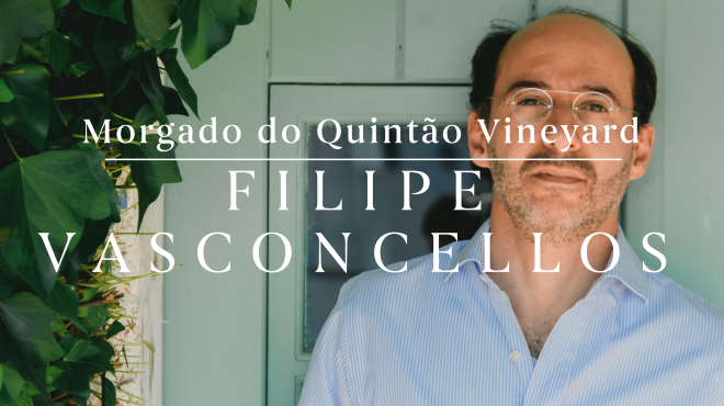 Filipe Vasconcellos from Morgado do Quintão Vineyard